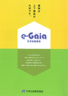 e-Gaia パンフレット01